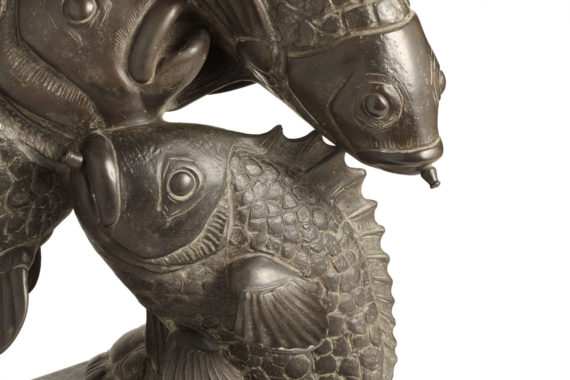 tuffo-pesci-tofanari3