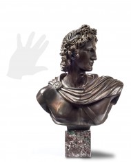 busto-apollo-belvedere-bronzo-silhouette