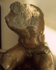 torso-belvedere2