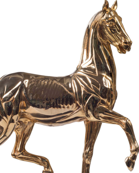 Gilded Anatomic Horse. Bronze sculpture for sale, Pietro Bazzanti Art Gallery, Florence, Italy