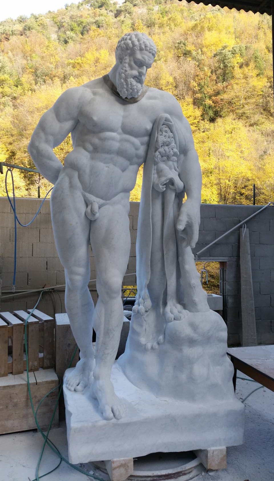 ercole-farnese2 replica of the farnese's hercules of the national archaeological museum of naples in white carrara marble. The huge marble sculpture is now available for sale at bazzanti art gallery florence.