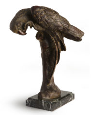 pappagallo-tofanari-bronzo
